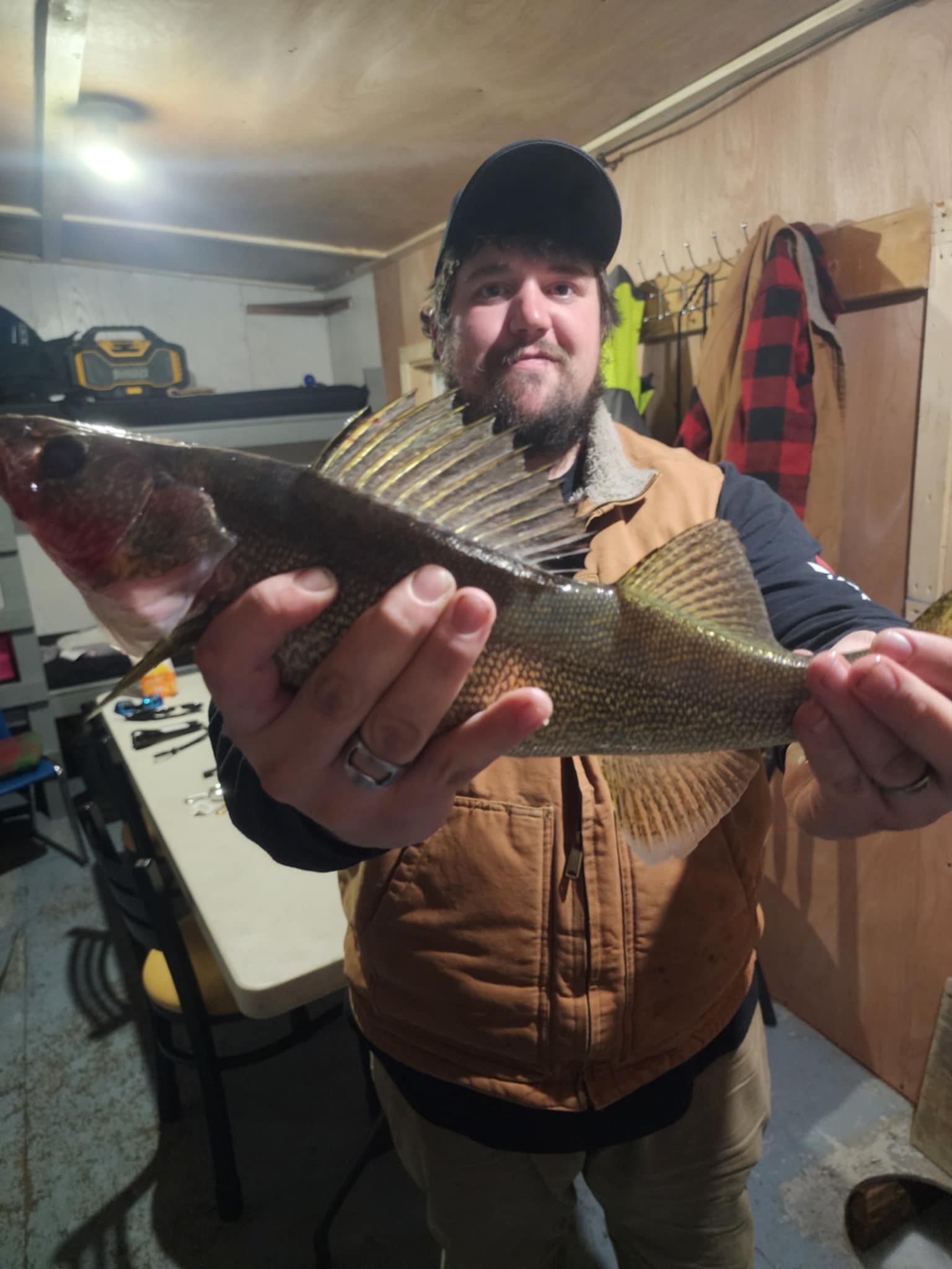 Gallery Image 18 Ice Family